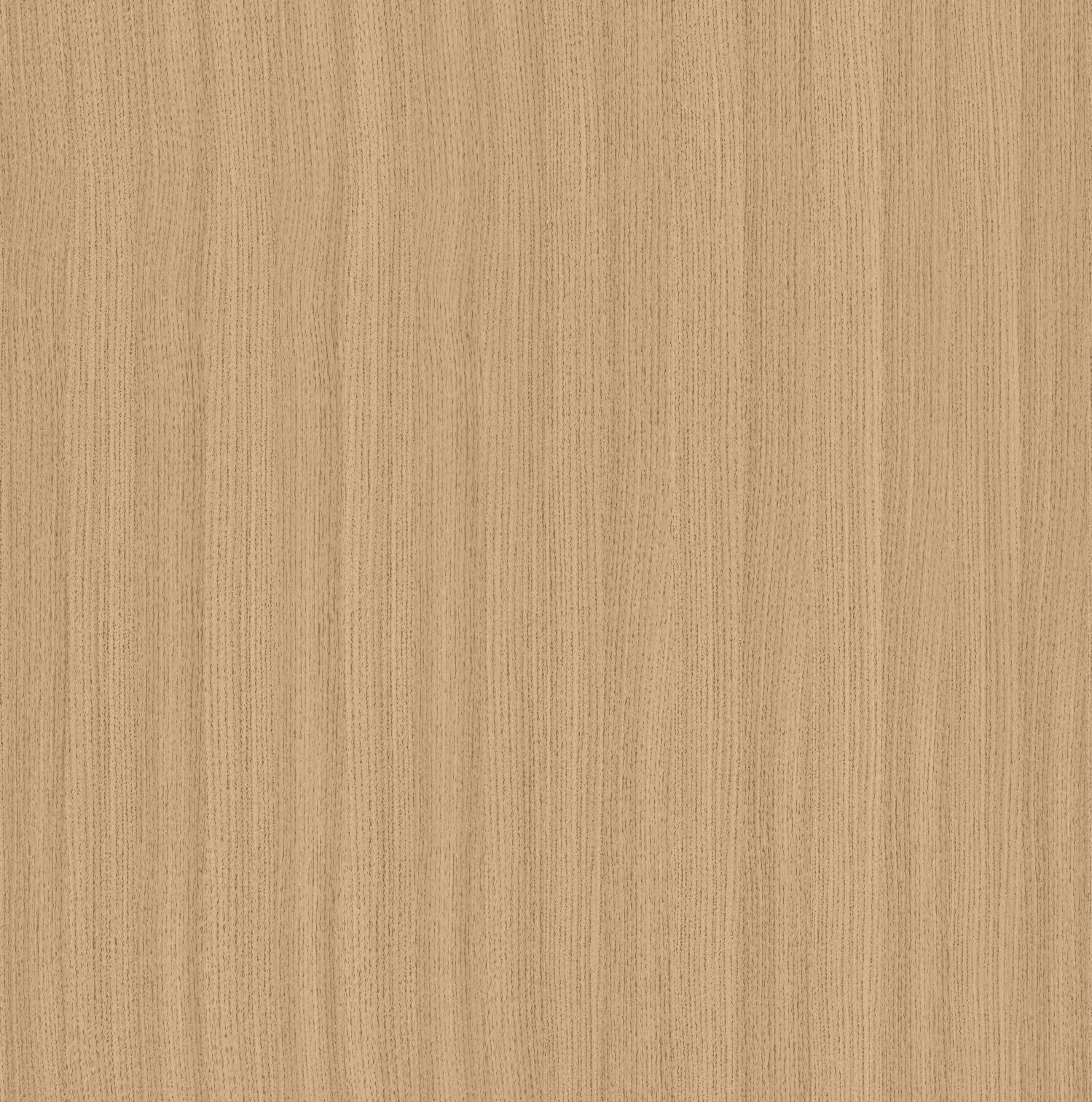 2729-1(W32113).jpg