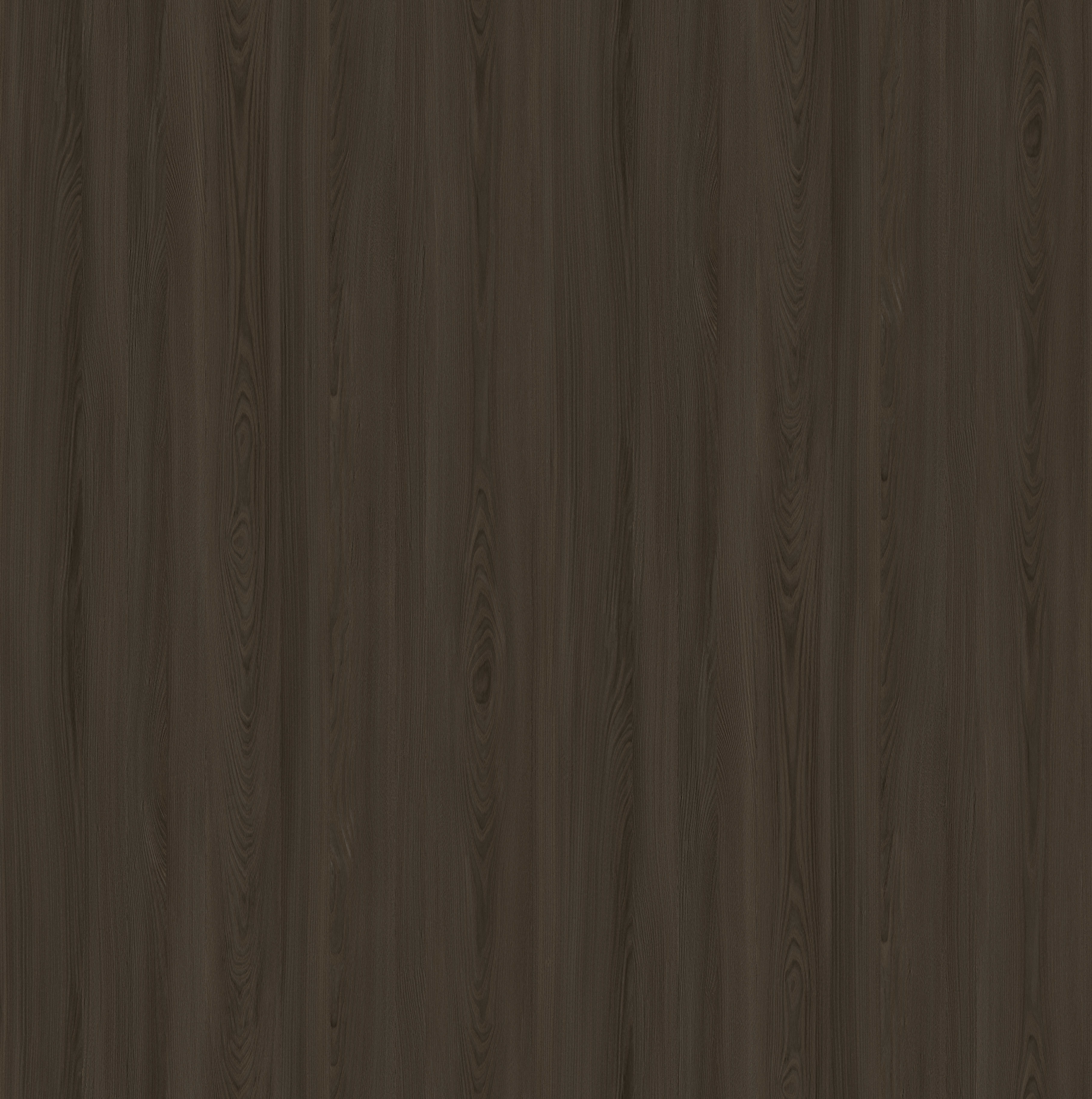 2628-5(W32115).jpg